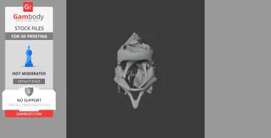 3D model of a Tehuelchesaurus skull viewed from the front, displayed against a dark background.