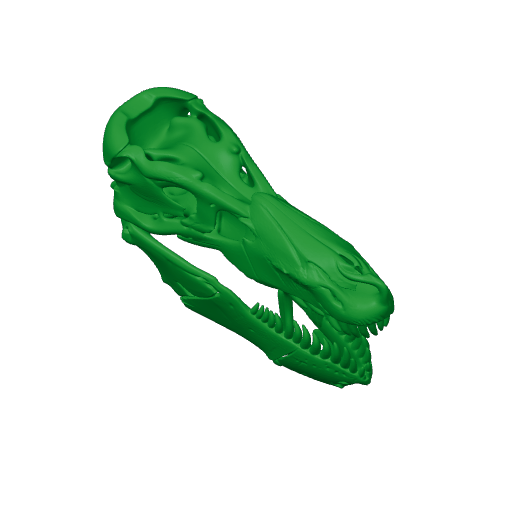 Tehuelchesaurus Skull.3mf