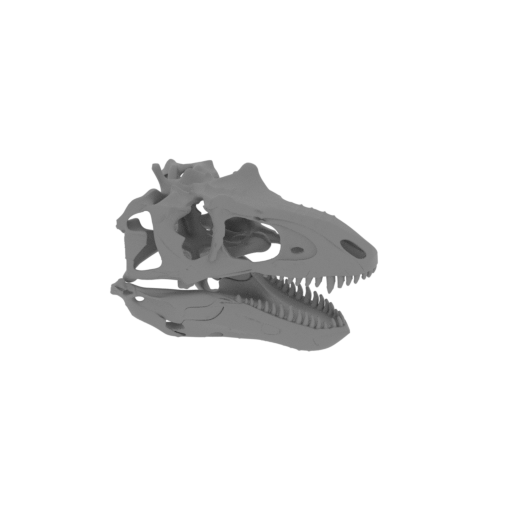 Teratophoneus Skull.stl