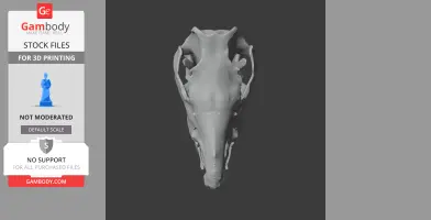 Sumatran Rhinoceros Skull - Skull Replica STL