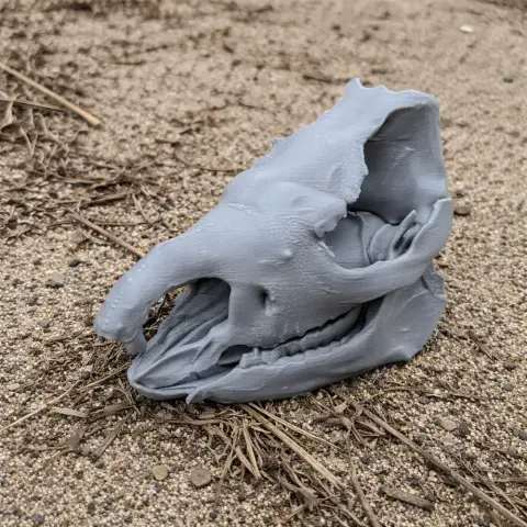 Gray 3D-printed Sumatran rhinoceros skull replica resting on sandy ground with scattered twigs.