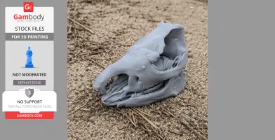 Sumatran Rhinoceros Skull - Skull Replica STL