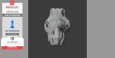 Sumatran Rhinoceros Skull - Skull Replica STL