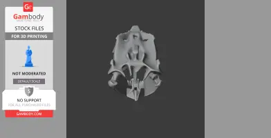 Tarbosaurus Skull - Skull Replica STL