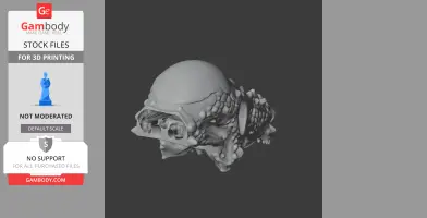 Tenchisaurus Skull - Skull Replica STL