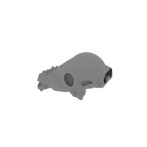 Tenchisaurus Skull.stl