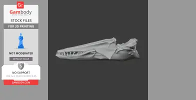 Tenrec Skull - Skull Replica STL