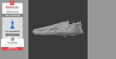 Tenrec Skull - Skull Replica STL