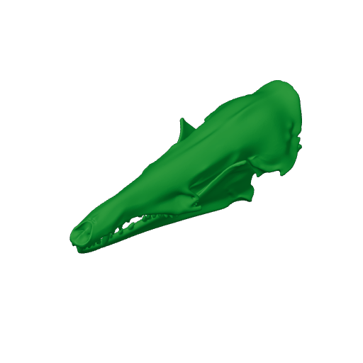 Tenrec Skull.3mf