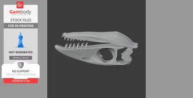 Thalattosaurus Skull - Skull Replica STL