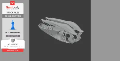 Thalattosaurus Skull - Skull Replica STL