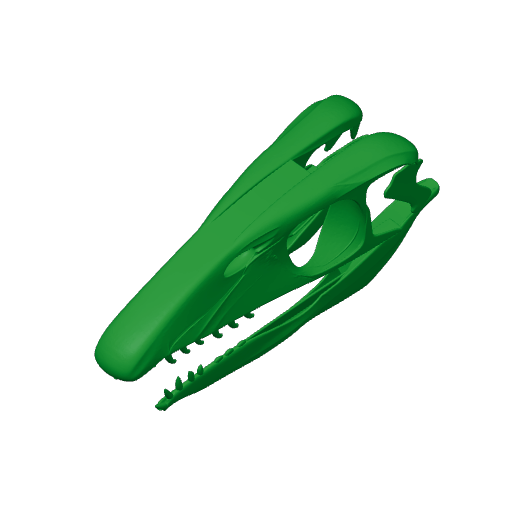 Thalattosaurus Skull.3mf
