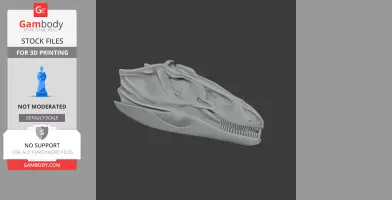 3D model of a Theiophytalia skull, detailed for 3D printing use.