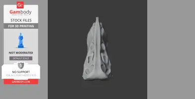 3D model of a Therapsida skull viewed from the top, with visible ridges and cavities.