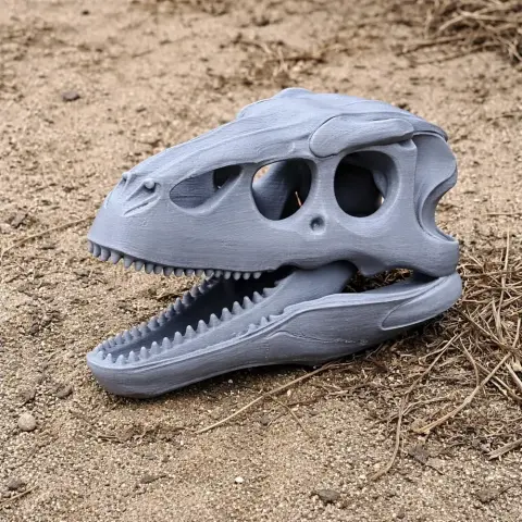 3D-printed Therizinosaurus skull replica resting on sandy ground.