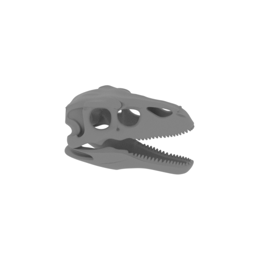 Therizinosaurus Skull.stl