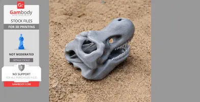 A gray 3D-printed theropod dinosaur skull replica resting on sand.