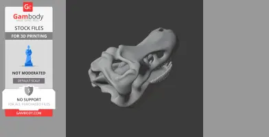3D model of a theropod dinosaur skull, gray and detailed, from Gambody for 3D printing.