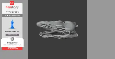 3D model of a detailed theropod dinosaur skull, suitable for 3D printing.