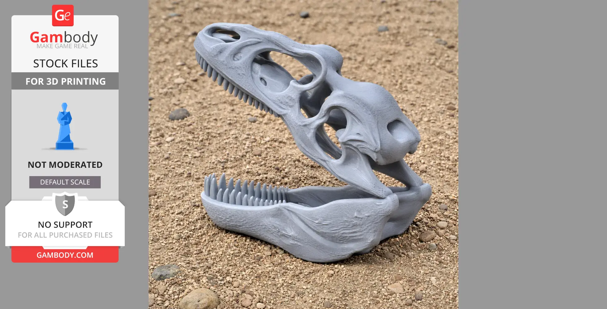 3D-printed theropod dinosaur skull on gravel, showcasing detailed teeth and bone structure.