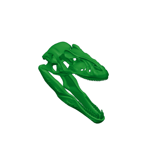 Theropods Skull.3mf
