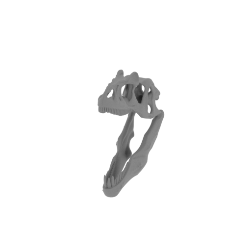 Theropods Skull.stl