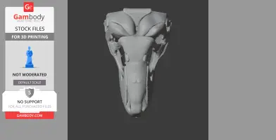 3D model of a prehistoric skull, detailed and frontal view, suitable for 3D printing.