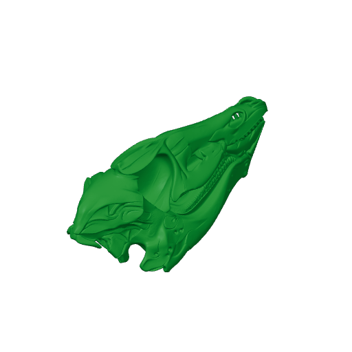 Thescelosaurus Skull.3mf