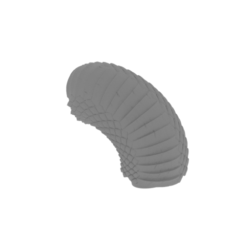 7_Medusa_tail_2_FDM(repaired).stl