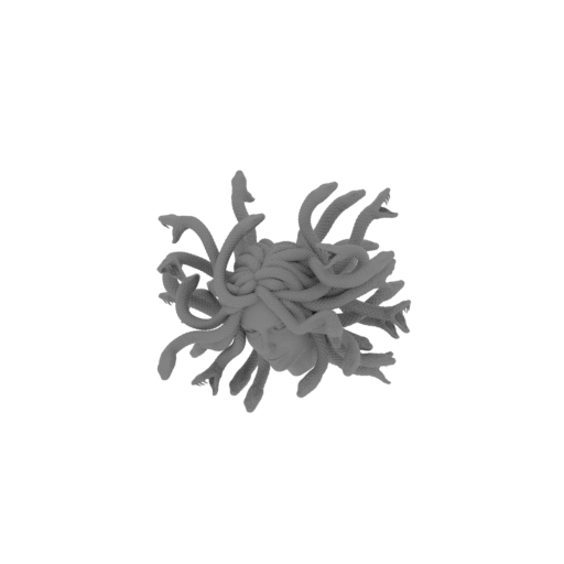 1_Medusa_head__V_1_FDM(repaired).stl