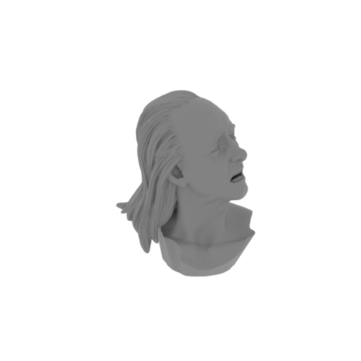 1_Philosopher_Pythagoras_head_FDM(repaired).stl