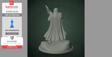 Cathedral Guard - Tunic - Character Figure STL
