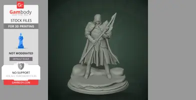 Cathedral Guard - Tunic - Character Figure STL