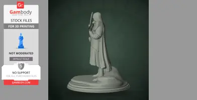 Cathedral Guard - Tunic - Character Figure STL