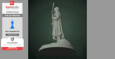 Cathedral Guard - Tunic - Character Figure STL