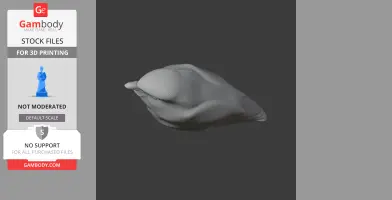 Baliem whistler - Prehistoric Animal STL