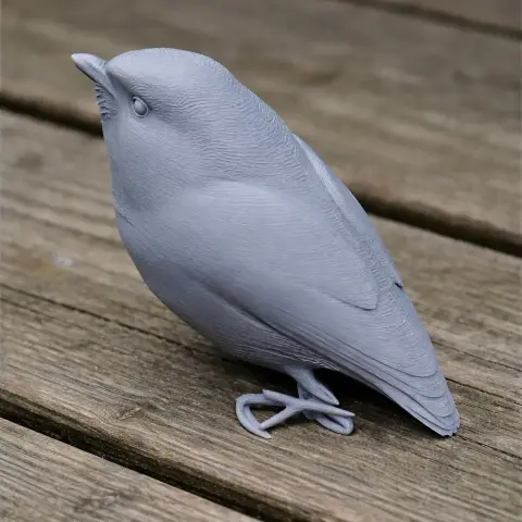 Baliem whistler - Prehistoric Animal STL