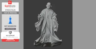 Lord Voldemort Harry Potter Figurine - Character Figure STL