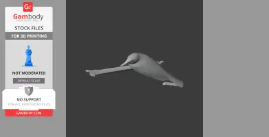 A 3D model of a prehistoric bird-like creature with outstretched wings, designed for 3D printing.