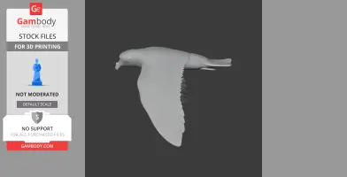 Band-rumped storm petrel - Prehistoric Animal STL