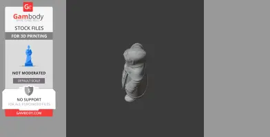 Lunatic Cultist - Terraria Figurine - Character Figure STL