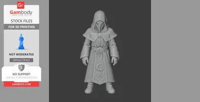 Lunatic Cultist - Terraria Figurine - Character Figure STL