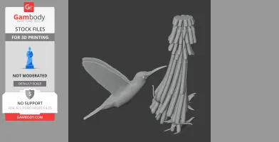 Band-tailed barbthroat - Prehistoric Animal STL