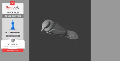 Band-tailed cacique - Prehistoric Animal STL