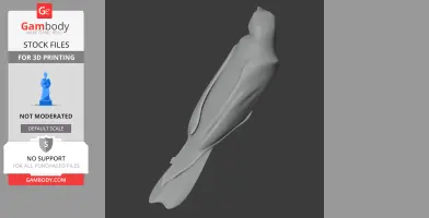 Band-tailed cacique - Prehistoric Animal STL