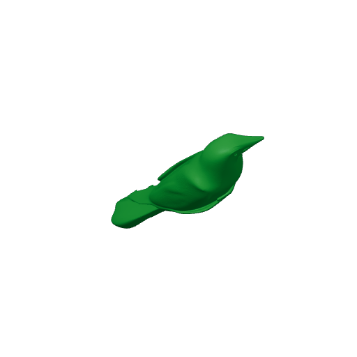 Band-tailed cacique.3mf