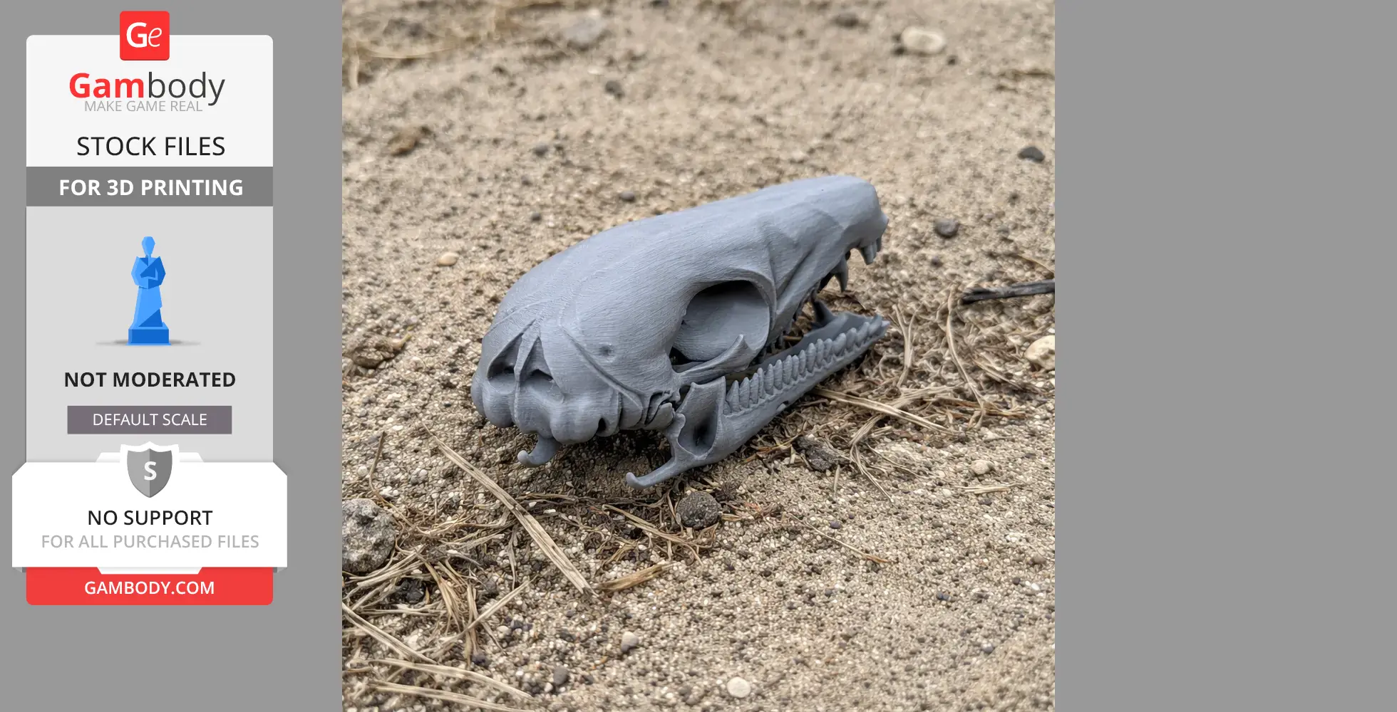 Swamp Antechinus Skull - Skull Replica STL