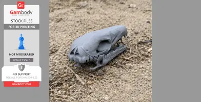 Swamp Antechinus Skull - Skull Replica STL