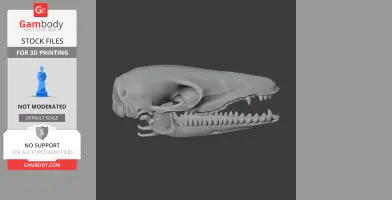 Swamp Antechinus Skull - Skull Replica STL