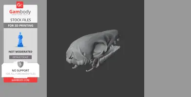 Swamp Antechinus Skull - Skull Replica STL